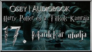 Harry Potter és a Titkok Kamrája hangoskönyv  17 fejezet [upl. by Neau]