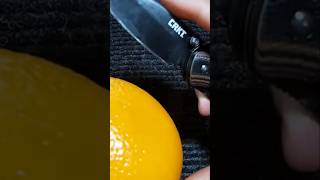 CRKT ENDORSER REVIEW CRKT EDCGEAR knivesoflegends pocketknives benchmade [upl. by Halyhs712]