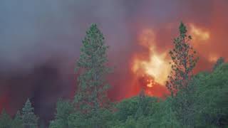 COLFAX CA PLACER COUNTY RIVER FIRE [upl. by Krever]