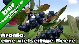 Das kann man alles aus Aroniabeeren machen [upl. by Aicilra]