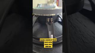 Testing The Worlds Largest Subwoofer pro audio [upl. by Fredkin]