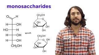 Carbohydrates Part 1 Simple Sugars and Fischer Projections [upl. by Leahkim]