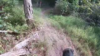 2024 Grassman National Enduro test 3 [upl. by Noiro]