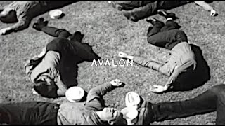 UICIDEBOY  AVALON Official Lyric Video [upl. by Draneb422]