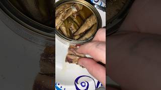 Late night sardine snack  polars  full video on my channel sardines cannedsardines cannedfish [upl. by Pandich]