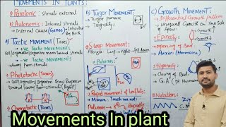 Movements in plants  autonomic movements  Tactic turgor and growth movements  biology class 12 [upl. by Herzog963]