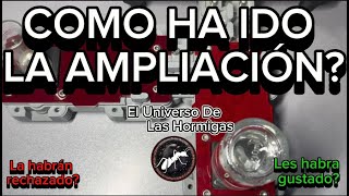 COMO ha ido LA AMPLIACION de las ALPHA… El Universo De Las Hormigas [upl. by Opaline332]