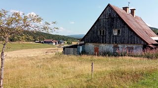 Nieudana wyprawa w BIESZCZADY  dziki wilki i spalona Dydiówka [upl. by Aurelea737]