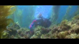 Jaws 2  Der weisse Hai Diving Scene [upl. by Virgil]