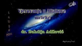 Vjerovanje u Allahove meleke  dr Zuhdija Adilović [upl. by Aiuhsoj]