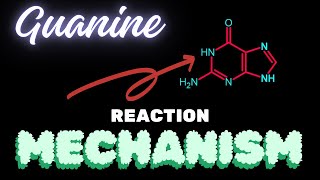 GuanineReaction Mechanism [upl. by Sadira]