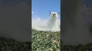 Drone Irrigation agricultureinnovation irrigationtech farming irrigationsolutions [upl. by Atik]