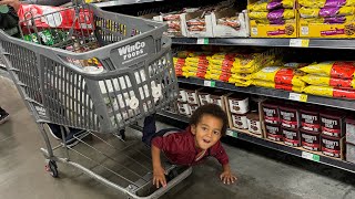 Winco grocery shopping with my two boys silly Eezy [upl. by Alyel]