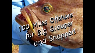 Big Snapper and Grouper  Hubbards 12 hour extreme trip [upl. by Dlorag208]