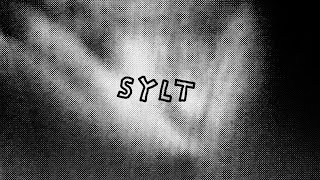 SYLT [upl. by Rossy]