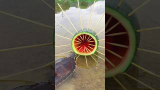 Survival Skills Simple and Useful with Watermelon Turtle 🐢 Trap survival funny simple bushcraft [upl. by Enitsyrhc984]