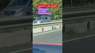 Cevaplar yoruma🤗 Trafik işaretleri Ehliyet sınavı ehliyetebruhoca ehliyetsınavı direksiyondersi [upl. by Anillek610]