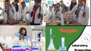 Preparation of Oxygen Gas In Lab [upl. by Nirok255]