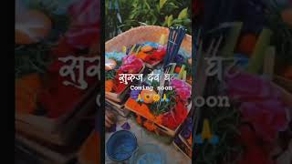 Chhat Puja Reels Video Status🙏 chhatpuja2024 chhatpujastatus chhatpujaspecial chhatpujavideo2024 [upl. by Melania641]