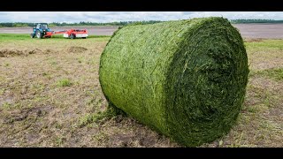 Degradation of Whole Cottonseed and Grass Hay [upl. by Millie]