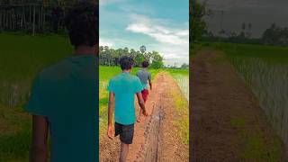 Farmer Motivation Tamil Status  Farmers Village Life shorts motivation farminglife villagelife [upl. by Enalahs617]