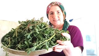 Bahçedeki Semizotlarından Yemek Yapıyorum [upl. by Rrats]