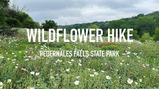 Wildflower Hike in Pedernales Falls State Park  Texas [upl. by Annawaj]