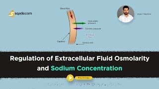 Regulation of Extracellular Fluid Osmolarity  Physiology Online Lectures  VLearning [upl. by Nolie]