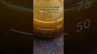 Auric Chloride liquid gold Dissolved 44 gram natural gold alloy diy gold goldrecovery forfun [upl. by Hut]