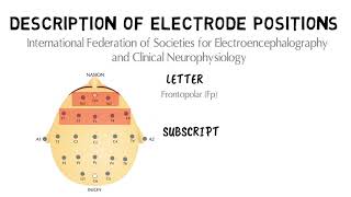 EEG Electrode Placement [upl. by Kessiah416]