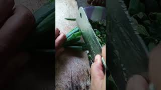 Iris daun bawang food shortvideos [upl. by Oiludbo173]