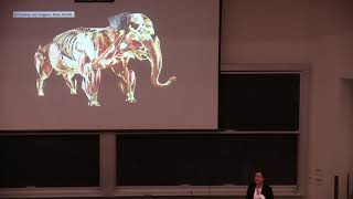 ESEC 2019  Robotics  Jessica BurgnerKahrs [upl. by Ahsiekat]