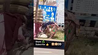 Chorni 23 india 🇮🇳 panjab farmar chori like farming panjab india viralreels shortvideo [upl. by Wiseman]