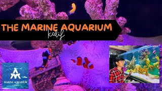 Anemone care tips with clownfish and Boxer shrimp in 3ft marine tank by “THE MARINE AQUARIUM” [upl. by Riccio]