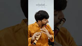 Vage Vage kai Sharnayu ne dhol  Aghori Music  Flute cover flute ntune [upl. by Nawud]