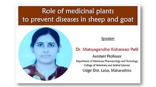 Role of medicinal plants to prevent diseases in sheep and goats Sheepfarming Goatfarming [upl. by Anwahsal818]