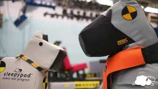 Behind the Design of a Crash Test Dog [upl. by Hale441]