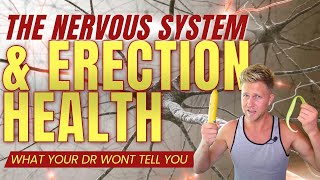 The Nervous System and Erection Health  Improve Your Boners Naturally [upl. by Goddord]