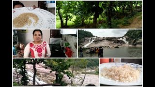 Brown rice recipeFun time with familyKuntala waterfallsMeet my husbandIndianmom busy lifestyle [upl. by Bear]