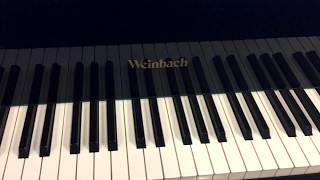 WeinbachPetrof piano 53 [upl. by Harriott]