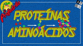 Bioquímica  ¿Qué son las proteínas Aminoácidos Péptidos y Proteínas [upl. by Nnaegroeg72]