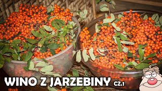 Wino z Jarzębiny  przepis  cz1  prosta NALEWKA czyli Jarzębiak JADALNA JARZĘBINA [upl. by Bullen]