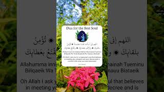 Dua for the Best Soul [upl. by Halilak]