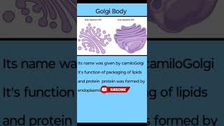 Golgi Apparatus  Golgi body  cell  cell theory  short video [upl. by Lybis]