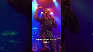 ¿Ya le habían puesto atención a la letra 🤔 Bacilos concierto [upl. by Dearr]