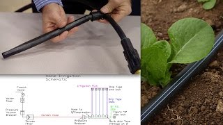 How to install home garden drip irrigation [upl. by Pierson]