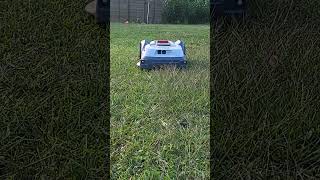 Roboup T1200 Pro Mähroboter im hohen Gras  perfekte Leistung [upl. by Meesan860]