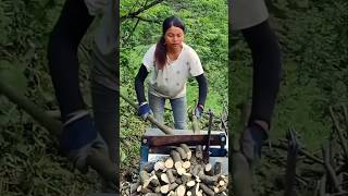 The technique of cutting tree branches Good equipment can increase the skill of the craftsman [upl. by Garbers991]