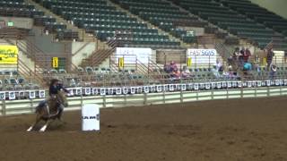 Perry Georgia Pro Rodeo Feb 2014 [upl. by Kcam]