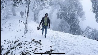 Nainital Snowfall 2024🥶❄️🔥 Live Snowfall In Naina peak Nainital 1st February 😍 [upl. by Ayala537]